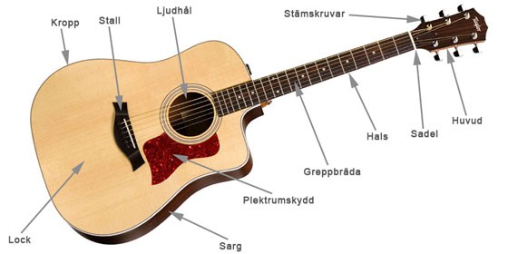 Akustisk gitarr schema över delar